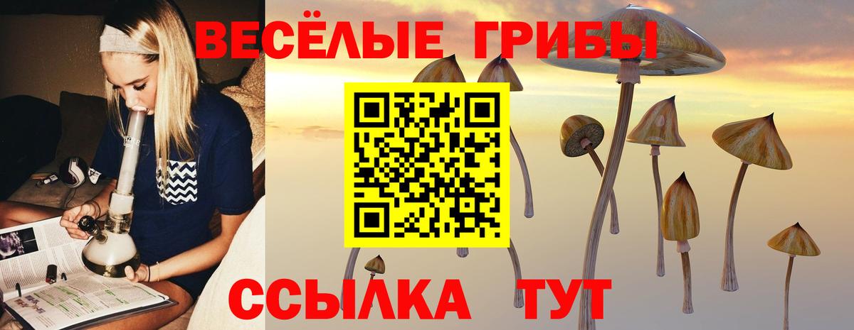 Галлюциногенные грибы Psilocybe  Галлюциногенные грибы ЛСД  Воронеж  Вход с VPN 